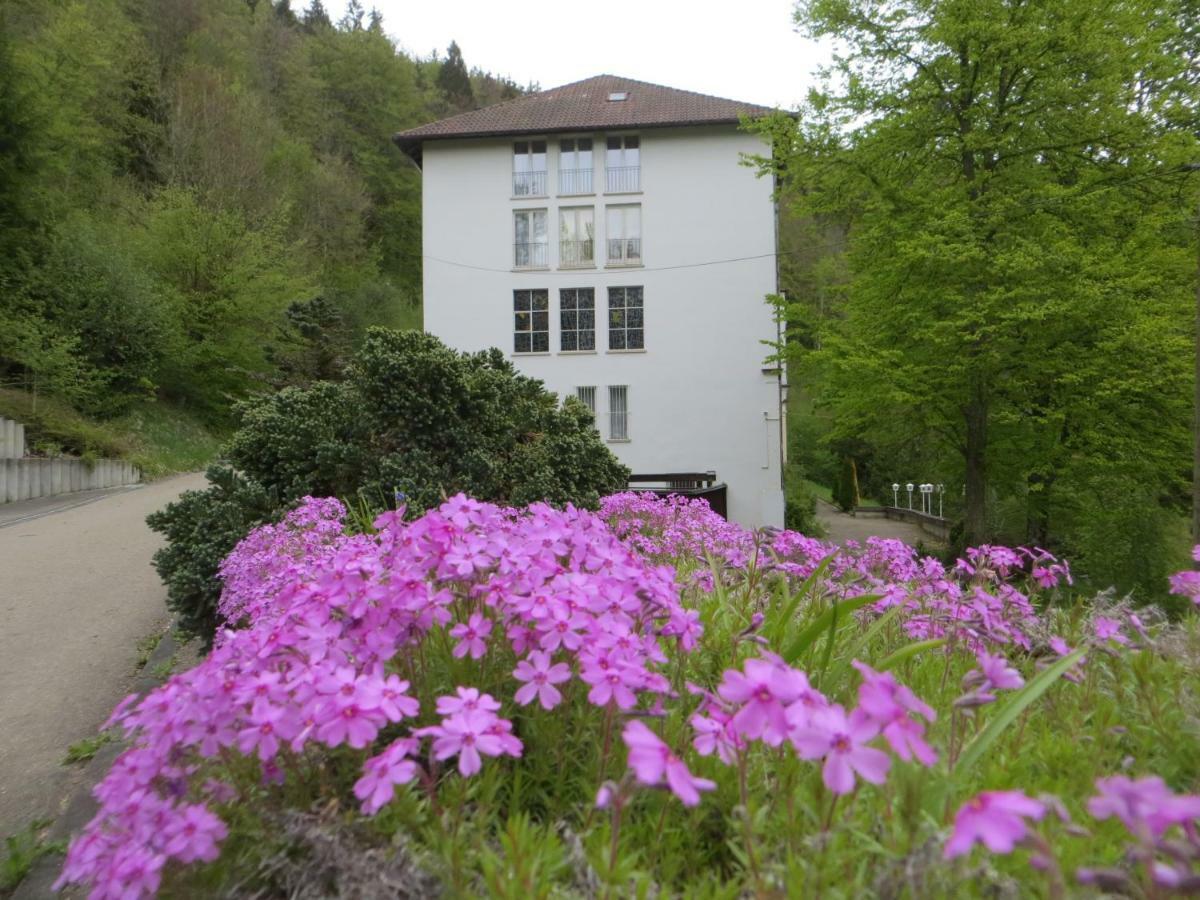 Gaeste- Und Tagungshaus Maria Trost Beuron Exterior photo